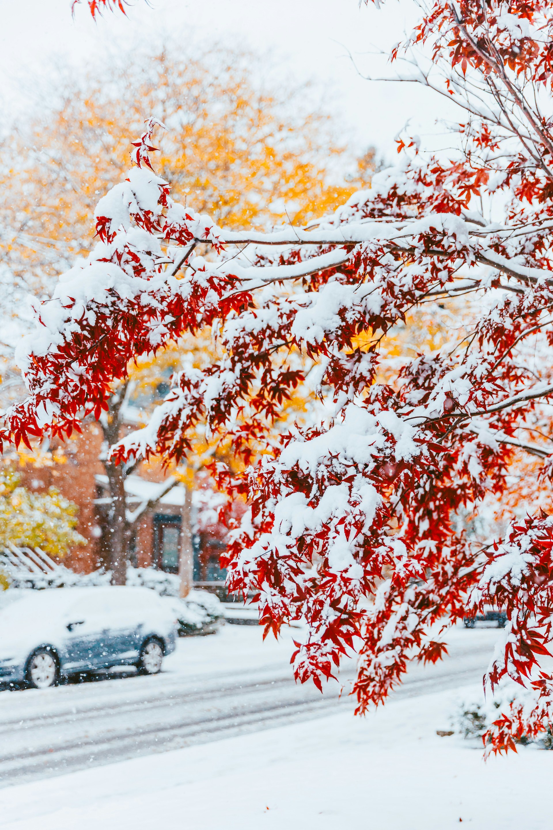 First snow